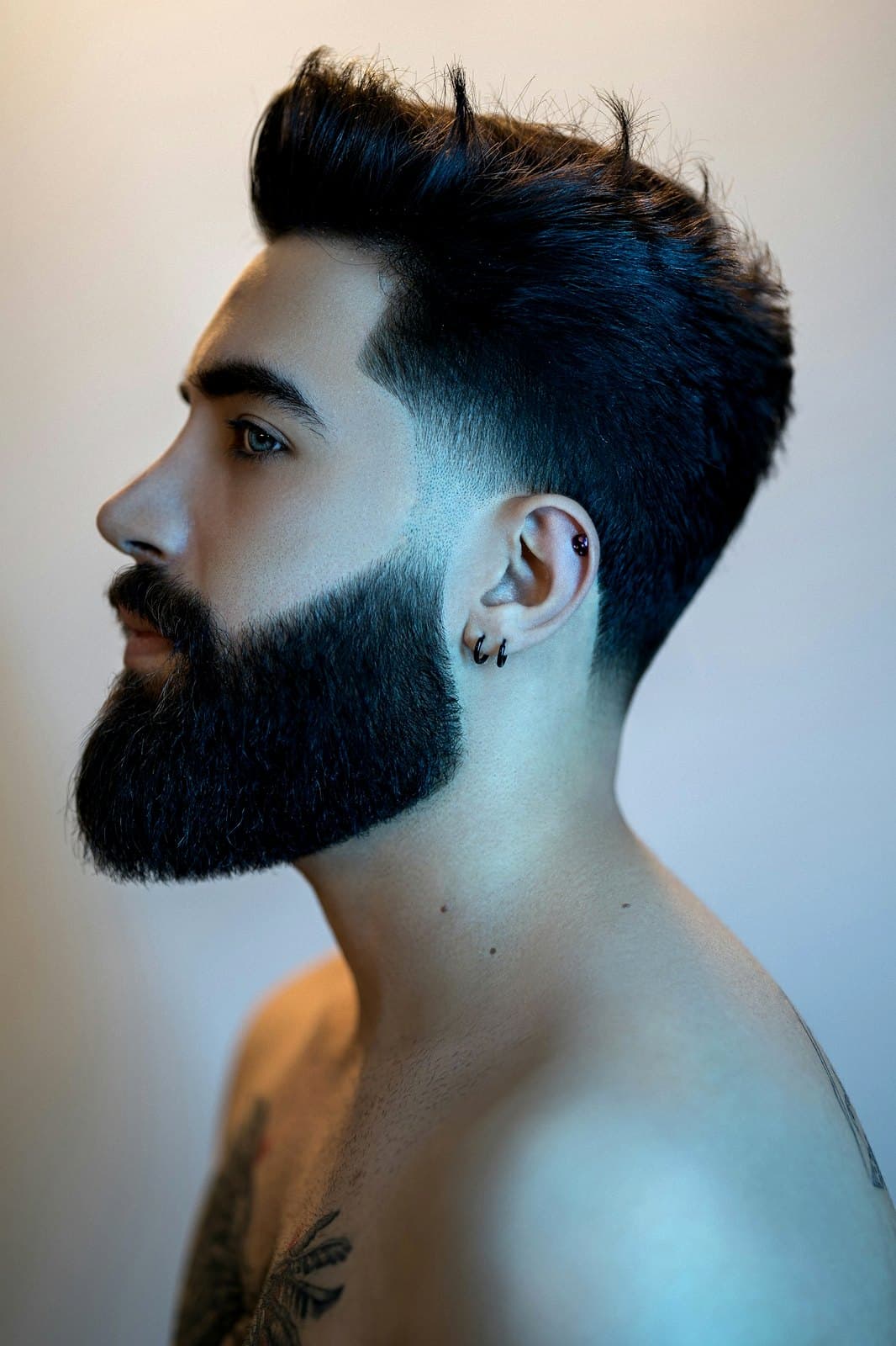 Catalog placeholder: finished fade